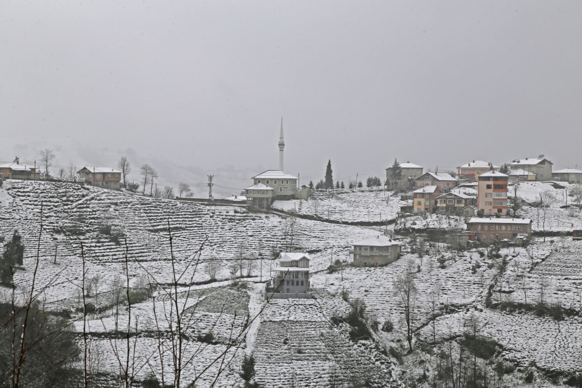 Rize'de İlkbaharda Kar Manzaraları 1