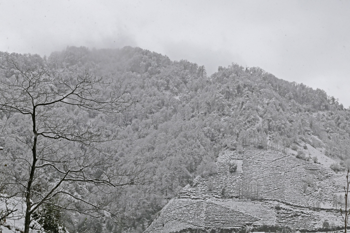 Rize'de İlkbaharda Kar Manzaraları 12
