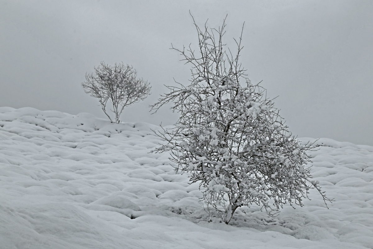 Rize'de İlkbaharda Kar Manzaraları 5