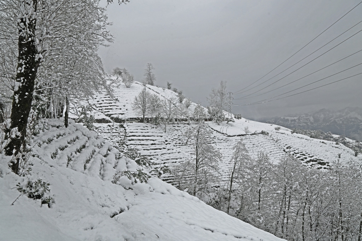 Rize'de İlkbaharda Kar Manzaraları 8