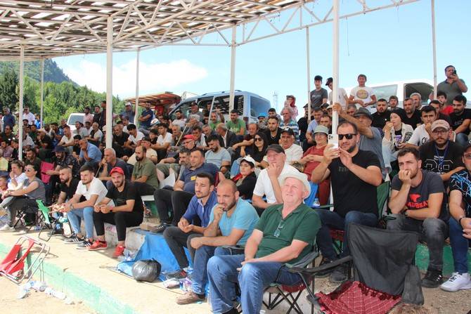 Boğa Güreşleri Türkiye Şampiyonası Artvin'de başladı 8