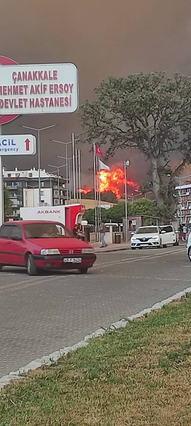 Çanakkale'de yangın evlere ulaştı, evler alev alev yanıyor 24