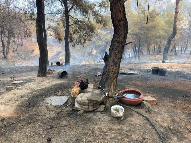 Çanakkale'de yangın evlere ulaştı, evler alev alev yanıyor 29