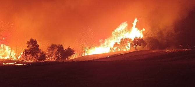 Çanakkale'de yangın evlere ulaştı, evler alev alev yanıyor 38