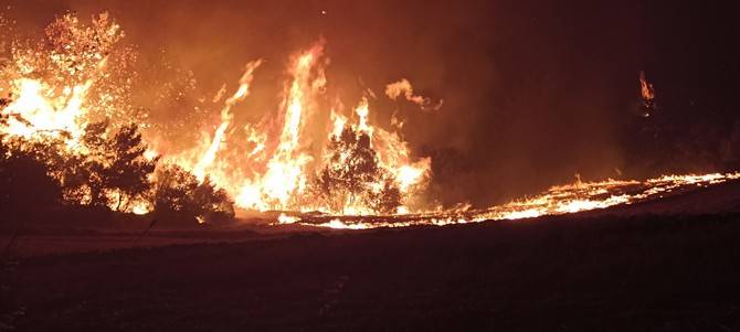 Çanakkale’deki orman yangınını söndürme çalışmaları aralıksız devam ediyor 11
