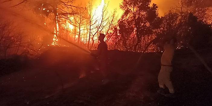 Çanakkale’deki orman yangınını söndürme çalışmaları aralıksız devam ediyor