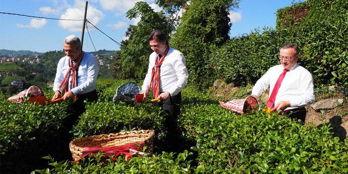 Bakan Yardımcısı Bağcı, Rize’de temaslarda bulundu