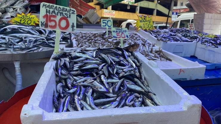 Karadeniz’de 'aşırı avcılık’ tehlikesi; hamsi boyu küçüldü 5