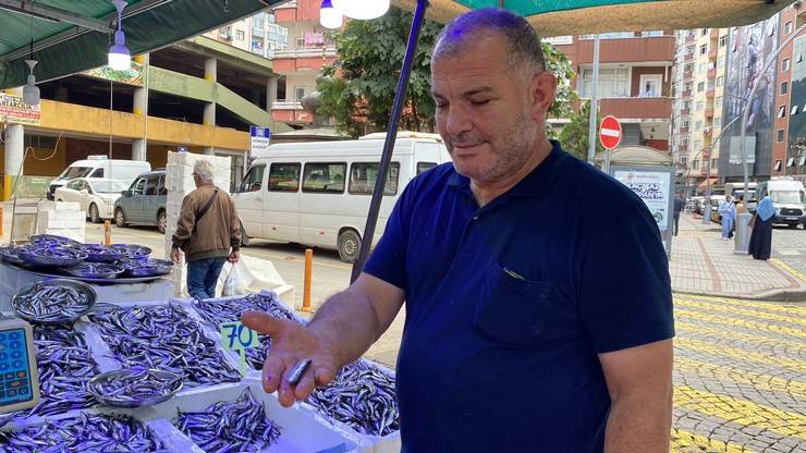 Karadeniz’de 'aşırı avcılık’ tehlikesi; hamsi boyu küçüldü 9