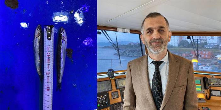 Karadeniz’de 'aşırı avcılık’ tehlikesi; hamsi boyu küçüldü