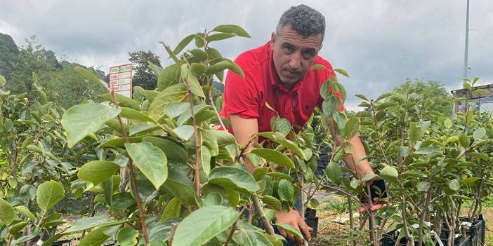 'Tohum Gelecektir' Dedi; 8 Yılda 8,5 Milyon Üretti