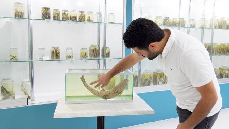 RTEÜ'lü bilim insanları, dünyanın en nadir canlılarından leopar sazanını arıyor 4