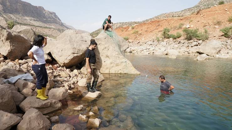 RTEÜ'lü akademisyenler leopar sazanı bulmak için Siirt’te 12