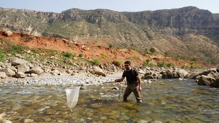 RTEÜ'lü akademisyenler leopar sazanı bulmak için Siirt’te 3