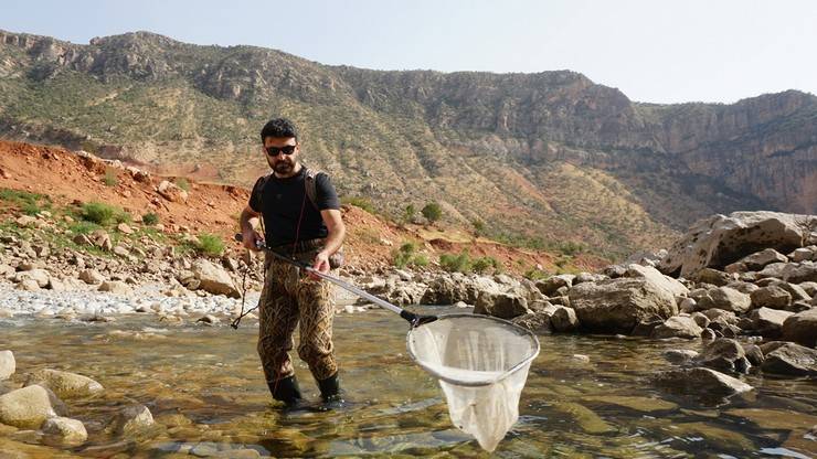 RTEÜ'lü akademisyenler leopar sazanı bulmak için Siirt’te 5
