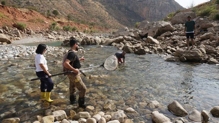 RTEÜ'lü akademisyenler leopar sazanı bulmak için Siirt’te 9