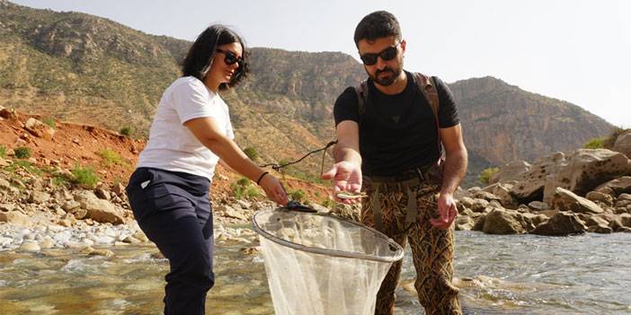 RTEÜ'lü akademisyenler leopar sazanı bulmak için Siirt’te