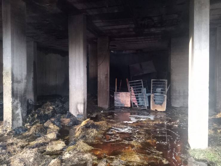 Rize’de 5 Katlı Binada Yangın 9