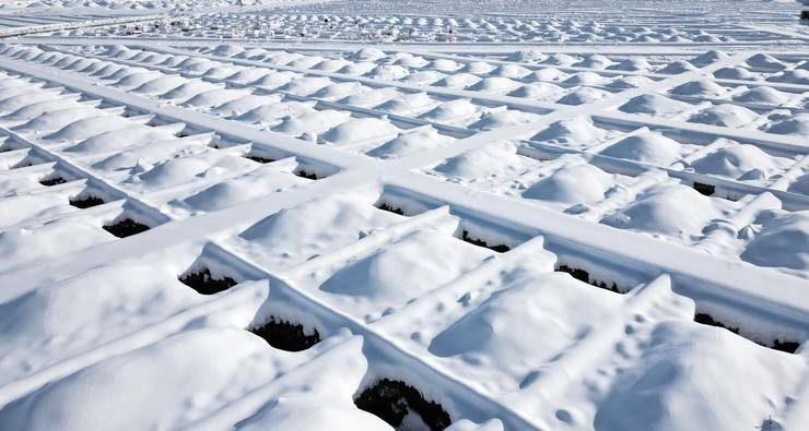 Erzurum'da kışlık bin mezar kazıldı 15