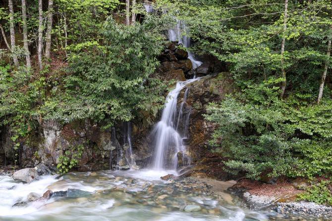 Rize doğal güzelliğiyle ziyaretçilerine görsel şölen sunuyor 16