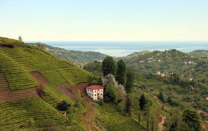 Rize doğal güzelliğiyle ziyaretçilerine görsel şölen sunuyor 3