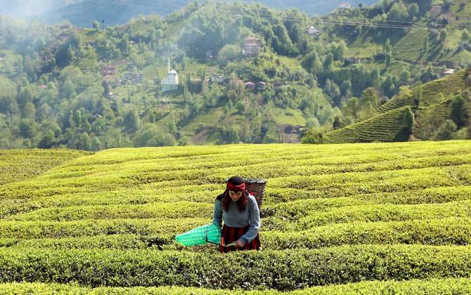 Rize doğal güzelliğiyle ziyaretçilerine görsel şölen sunuyor 5