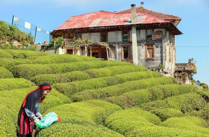 Rize doğal güzelliğiyle ziyaretçilerine görsel şölen sunuyor 6