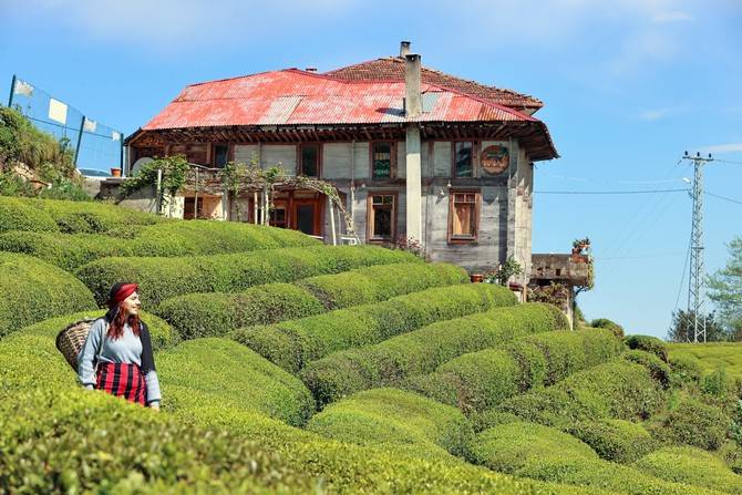 Rize doğal güzelliğiyle ziyaretçilerine görsel şölen sunuyor 8