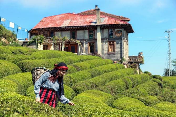 Rize doğal güzelliğiyle ziyaretçilerine görsel şölen sunuyor 9