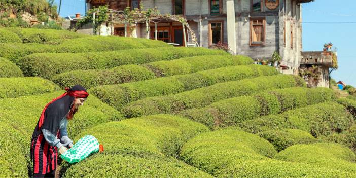 Rize doğal güzelliğiyle ziyaretçilerine görsel şölen sunuyor