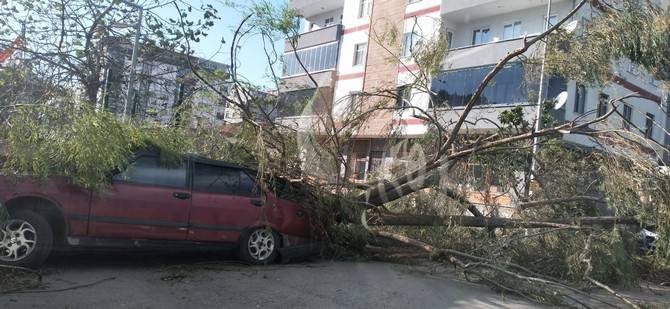 Giresun'da fırtına; çatılar uçtu; 1'i çocuk 2 kişi yaralı 4