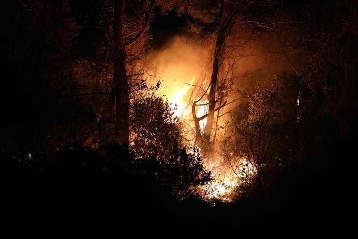 Sürmene'de orman yangını; 2 itfaiye eri dumandan etkilendi 16