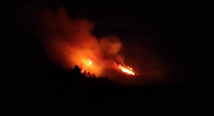 Sürmene'de orman yangını; 2 itfaiye eri dumandan etkilendi 3