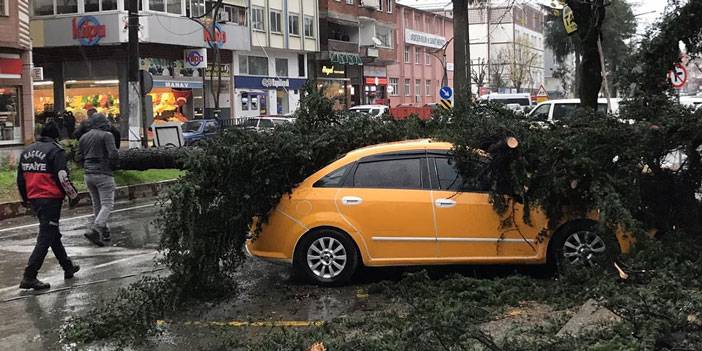 Rize'de fırtına; sac uçtu, ağaç taksinin üzerine devrildi