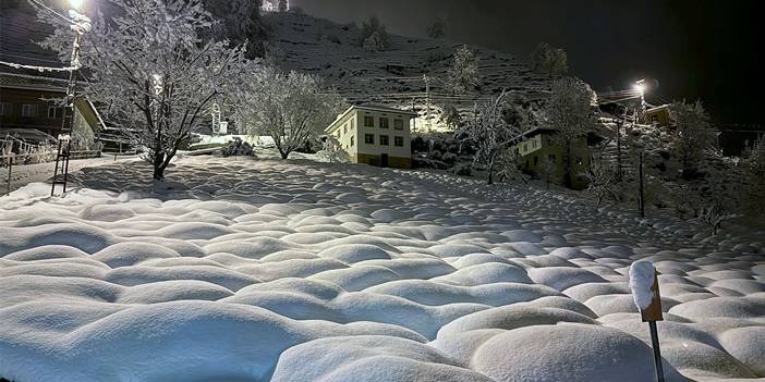 Rize'de çay bahçeleri karla birleşti