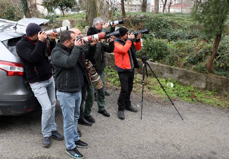 Rize'de, kuş gözlemcileri "ipekkuyruk" görüntüledi 8
