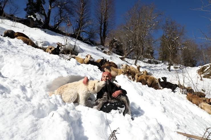 "Türkiye'nin Heidi'si" Hamdu Sena'nın gelecekteki hedefi Tarım Bakanı olmak 13