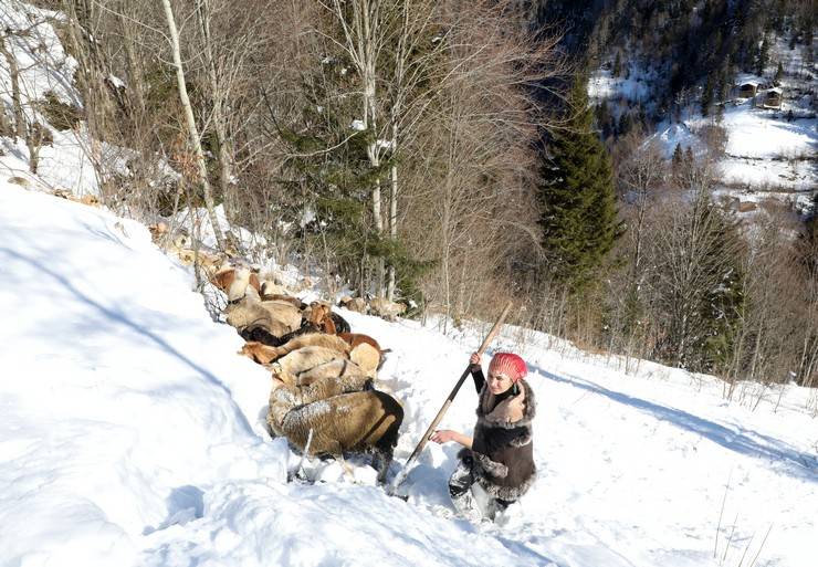 "Türkiye'nin Heidi'si" Hamdu Sena'nın gelecekteki hedefi Tarım Bakanı olmak 18