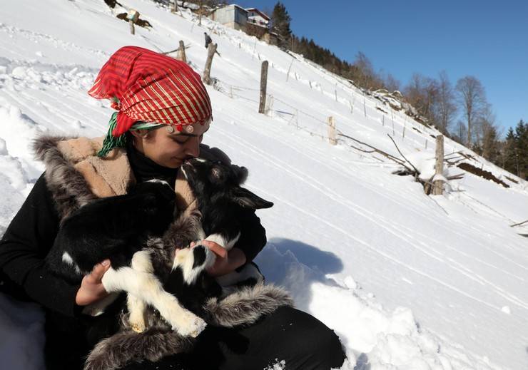 "Türkiye'nin Heidi'si" Hamdu Sena'nın gelecekteki hedefi Tarım Bakanı olmak 2