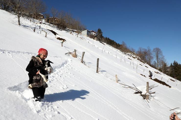 "Türkiye'nin Heidi'si" Hamdu Sena'nın gelecekteki hedefi Tarım Bakanı olmak 3