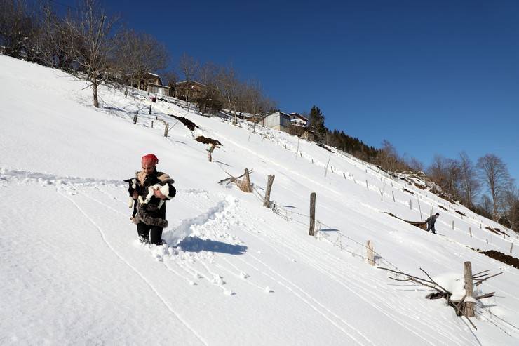 "Türkiye'nin Heidi'si" Hamdu Sena'nın gelecekteki hedefi Tarım Bakanı olmak 4