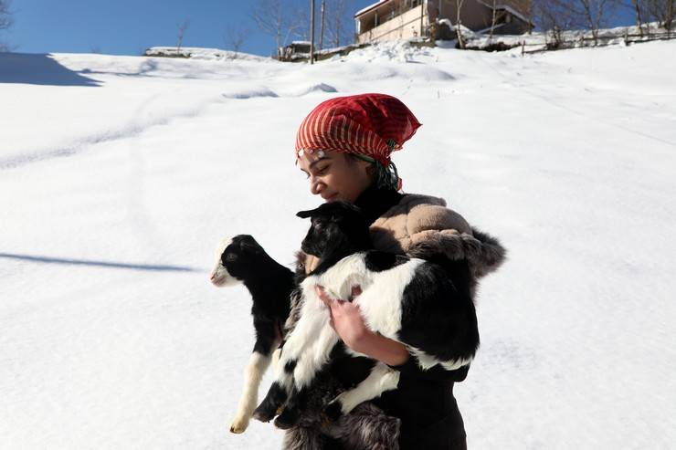 "Türkiye'nin Heidi'si" Hamdu Sena'nın gelecekteki hedefi Tarım Bakanı olmak 5