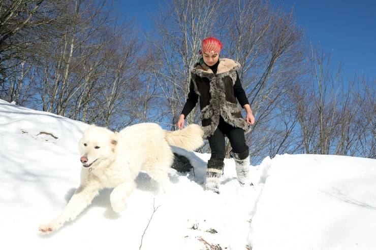 "Türkiye'nin Heidi'si" Hamdu Sena'nın gelecekteki hedefi Tarım Bakanı olmak 6