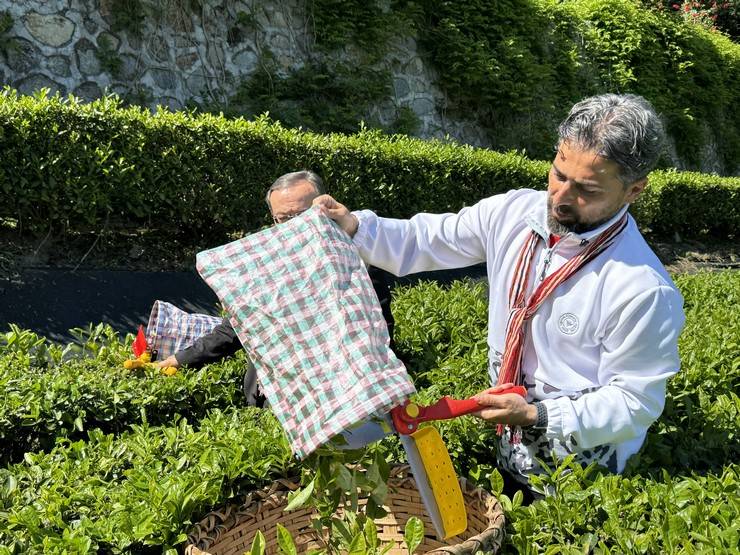 Çaykur Rizespor Teknik Direktörü İlhan Palut çay bahçesine girdi, çay topladı 1