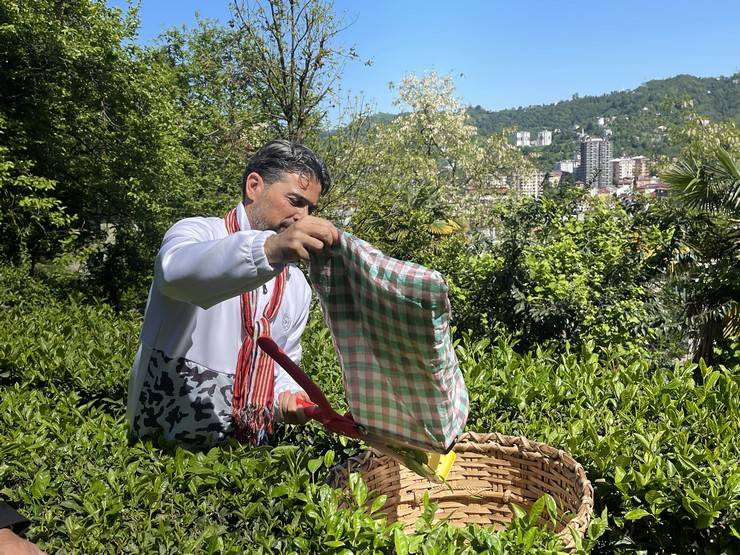 Çaykur Rizespor Teknik Direktörü İlhan Palut çay bahçesine girdi, çay topladı 10