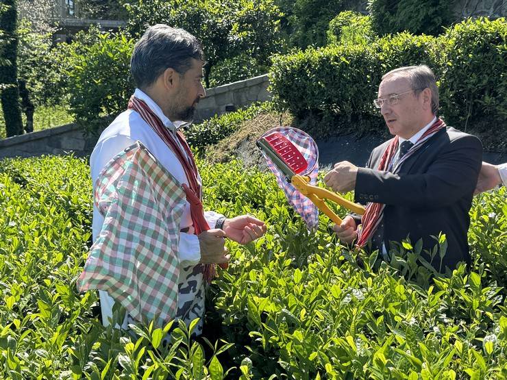 Çaykur Rizespor Teknik Direktörü İlhan Palut çay bahçesine girdi, çay topladı 12
