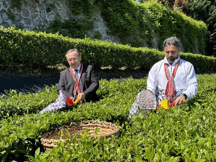 Çaykur Rizespor Teknik Direktörü İlhan Palut çay bahçesine girdi, çay topladı 6