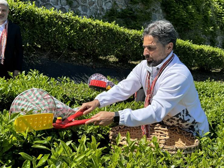 Çaykur Rizespor Teknik Direktörü İlhan Palut çay bahçesine girdi, çay topladı 7