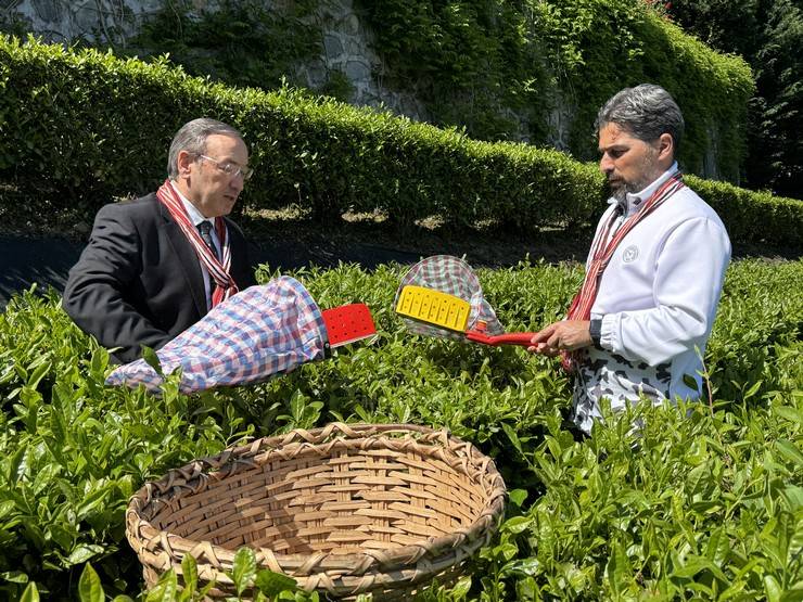 Çaykur Rizespor Teknik Direktörü İlhan Palut çay bahçesine girdi, çay topladı 8