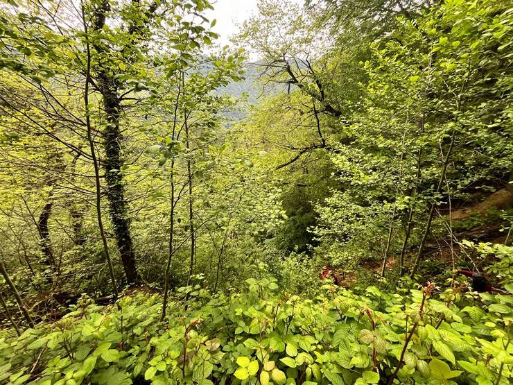 Rize'de otomobil uçuruma yuvarlandı; 1 ölü 4 yaralı 14